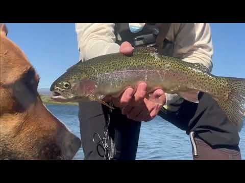 Pastorius Reservoir, video thumbnail