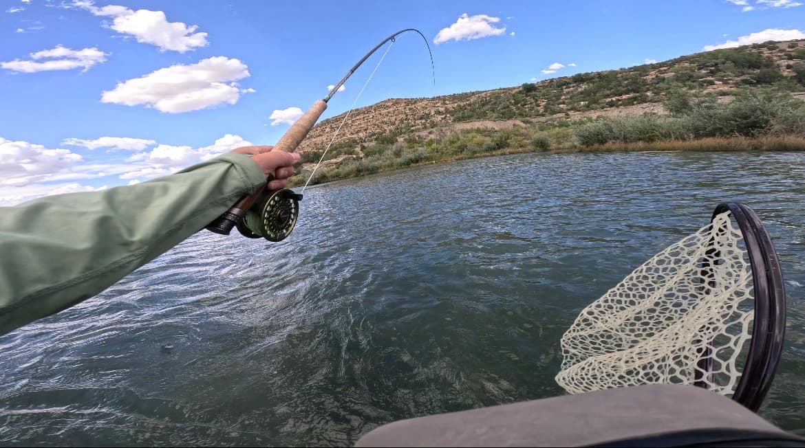 San Juan River Fly Choice, San Juan below Navajo Dam