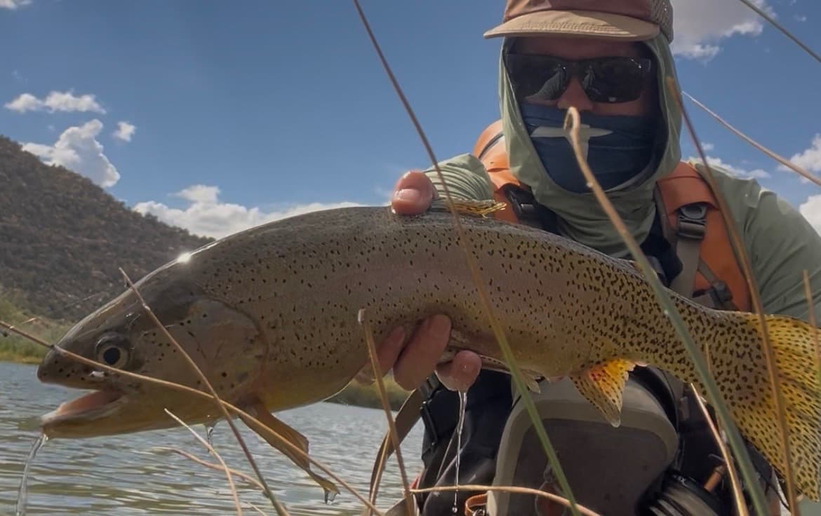 San Juan River Fly Choice, San Juan below Navajo Dam, photo 2